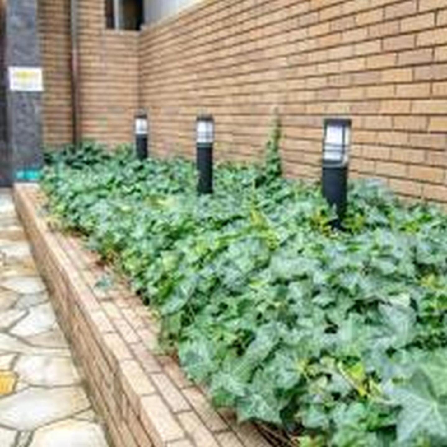 Yuki 201 Apartment